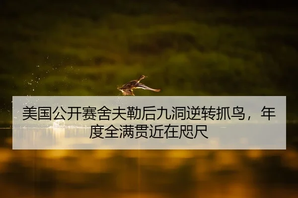 美国公开赛舍夫勒后九洞逆转抓鸟，年度全满贯近在咫尺